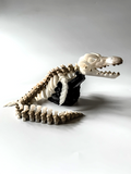 Mosasaurus Skeleton – 3D Printed Dinosaur Model image 0