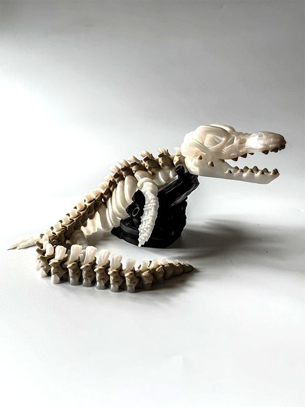 Mosasaurus Skeleton – 3D Printed Dinosaur Model image 0