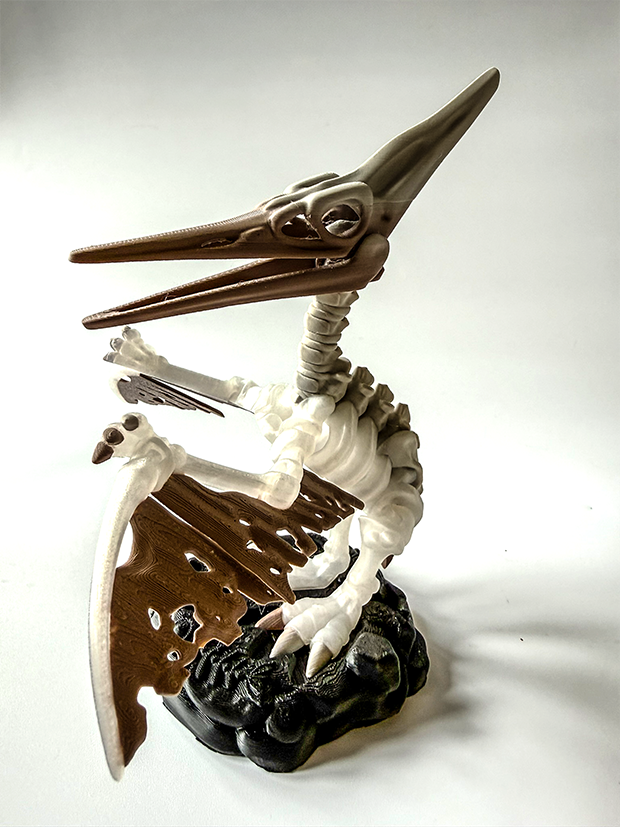 Pterodactyl Skeleton – 3D Printed Dinosaur Model image 1