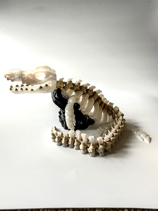 Mosasaurus Skeleton – 3D Printed Dinosaur Model image 1