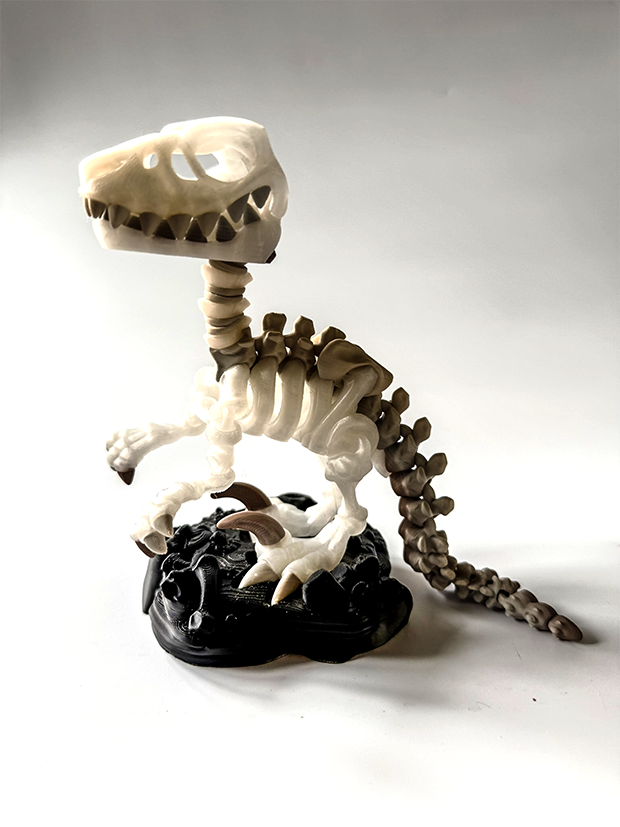 Raptor Skeleton – 3D Printed Dinosaur Model image 1