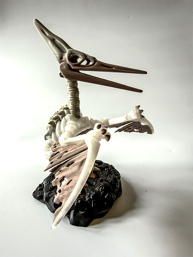 Pterodactyl Skeleton – 3D Printed Dinosaur Model image 0