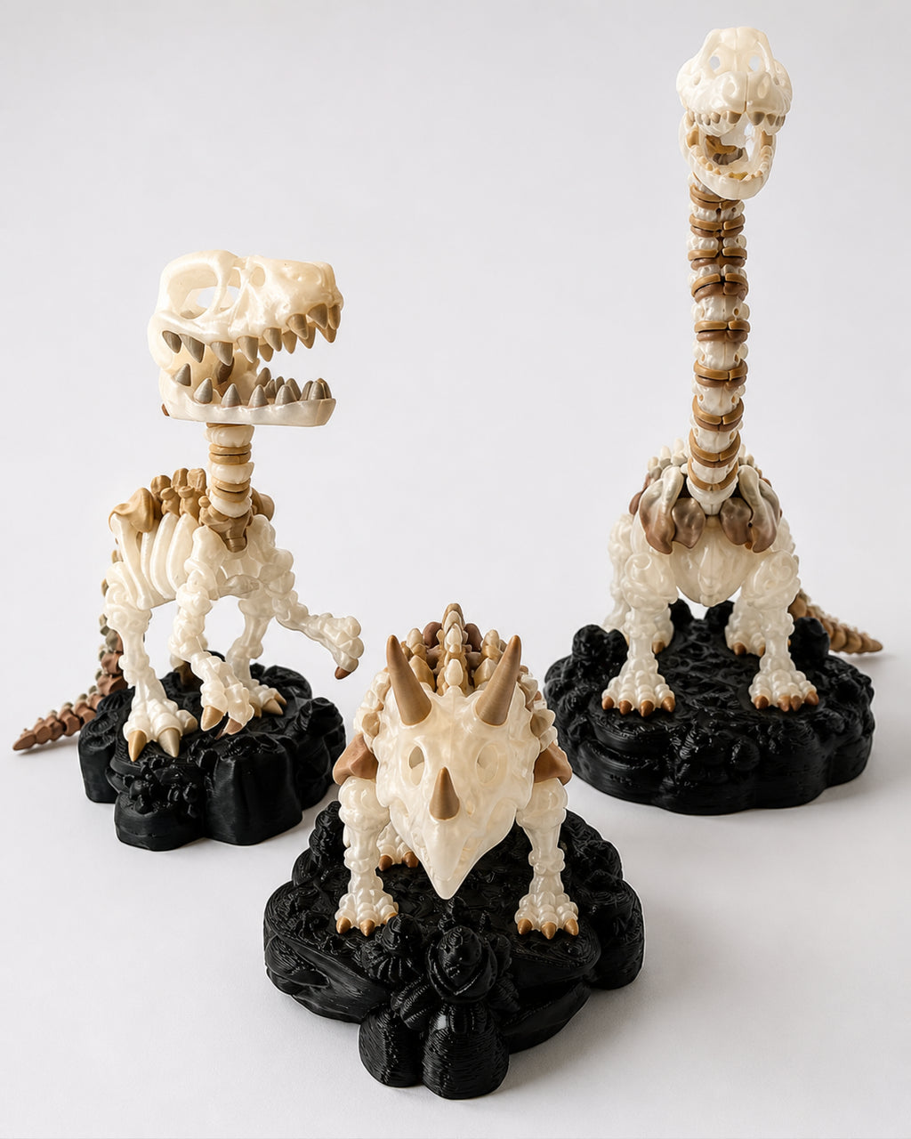 3D Printed Dinosaur Skeleton Starter Bundle, Brachiosaurus, Triceratops and Raptor image 8