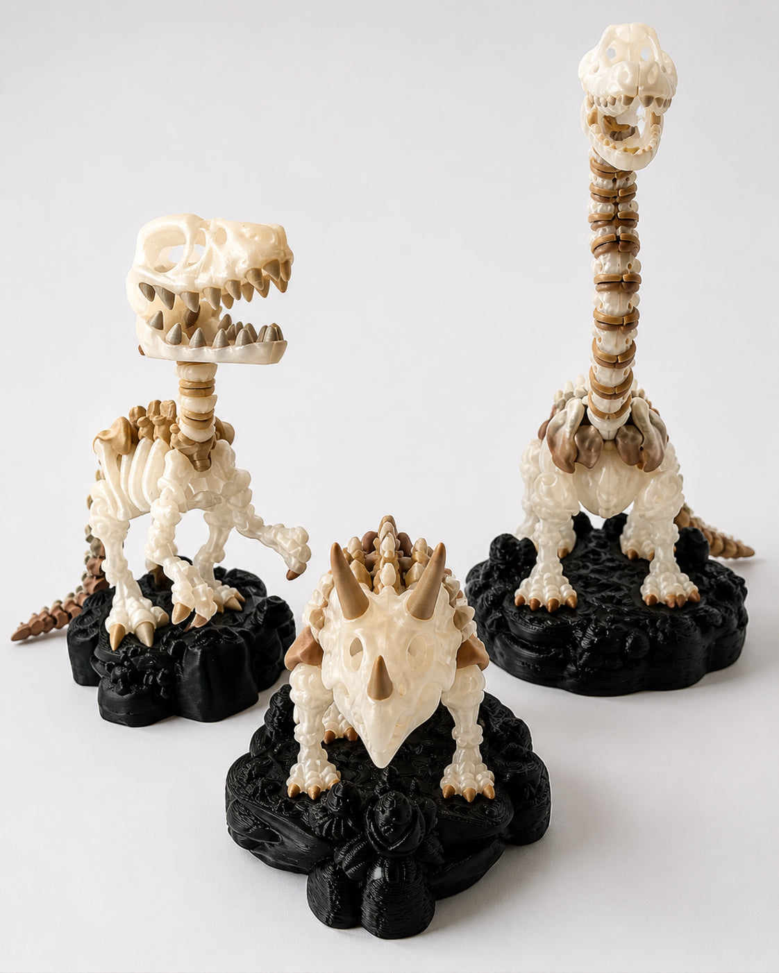 3D Printed Dinosaur Skeleton Starter Bundle, Brachiosaurus, Triceratops and Raptor image 8