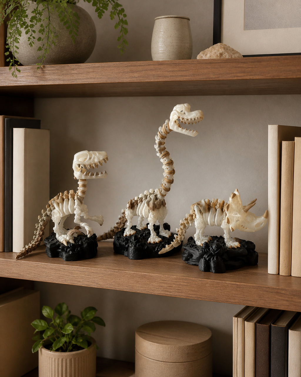 3D Printed Dinosaur Skeleton Starter Bundle, Brachiosaurus, Triceratops and Raptor image 10