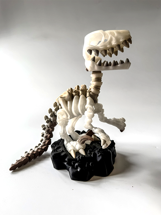 Raptor Skeleton – 3D Printed Dinosaur Model image 0