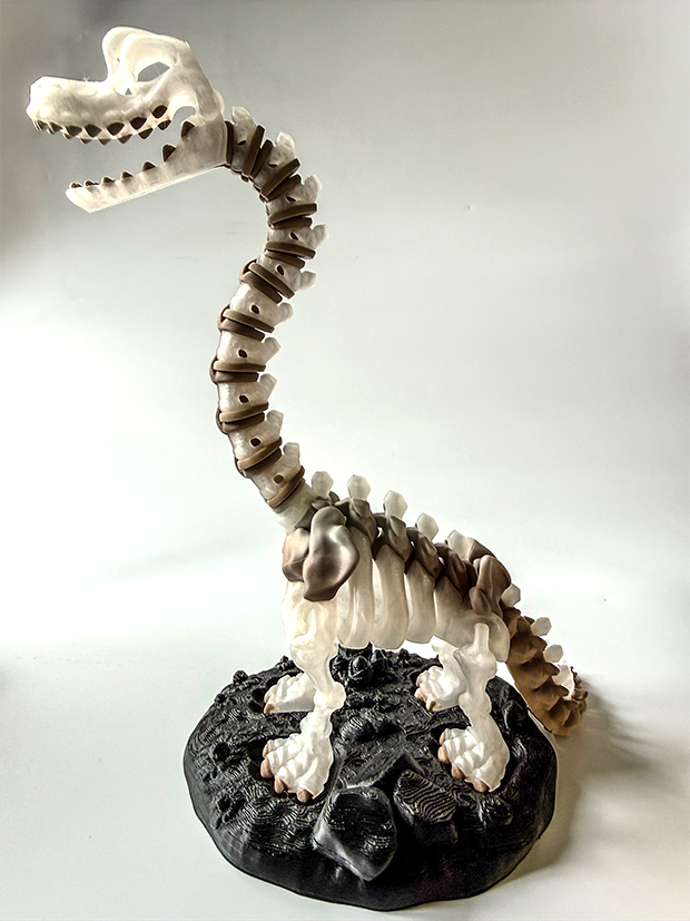 3D Printed Dinosaur Skeleton Starter Bundle, Brachiosaurus, Triceratops and Raptor image 4
